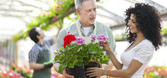 Tajniki sprzedaży – co zagwarantuje Ci sukces w branży ogrodniczej?