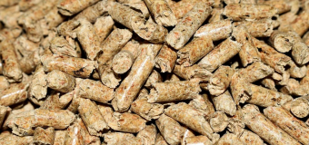 Pellet – jak obchodzić się z nim bezpiecznie?