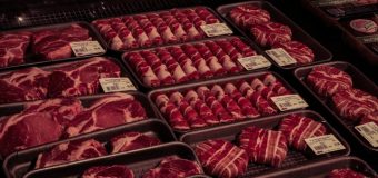 Mięso z hodowli ekologicznej – czym różni się od tego z hodowli standardowej?