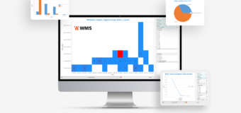 Co to jest system WMS?
