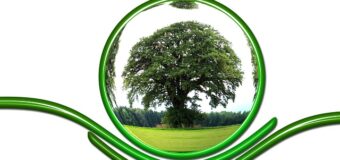 Ekologiczne produkty bez szkodliwego plastiku – przyszłość z rynkiem w zgodzie
